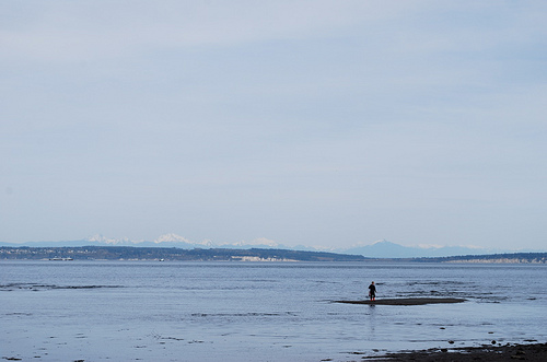 Reese had to run out and explore the island before the tide covered it.