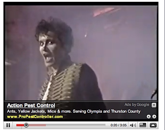 Adam Ant Pest Control.png