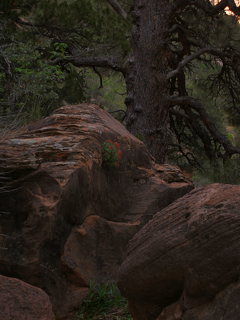 Zion