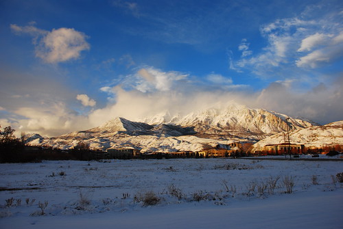 Timp