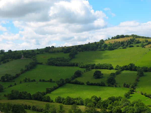 IMG_4738.jpg IMG_4738.jpg