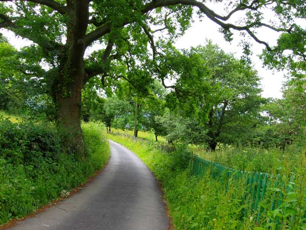 IMG_4781.jpg IMG_4781.jpg