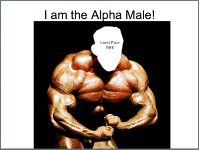 Alpha Male